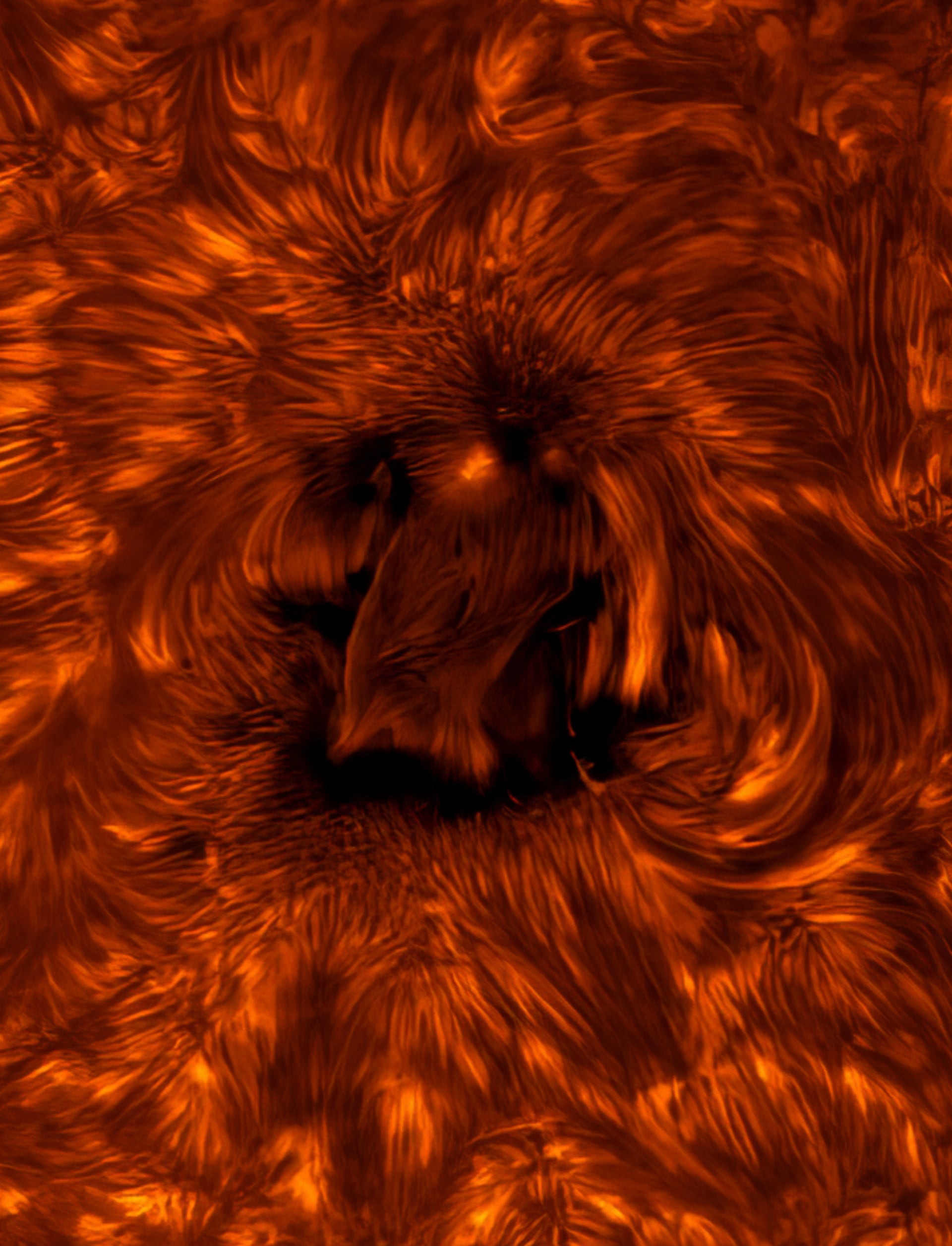 Солнечная бездна и&nbsp;огромная комета: 20 лучших фото с&nbsp;Astronomy Photographer of the Year&nbsp;2025