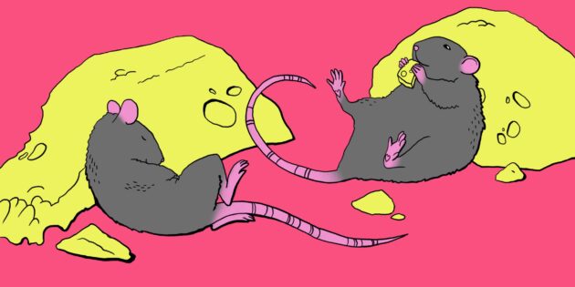 Мышиный рай: как идеальные условия жизни привели к вымиранию и может ли это случиться с нами Мышиный рай: как идеальные условия жизни привели к вымиранию и может ли это случиться с нами